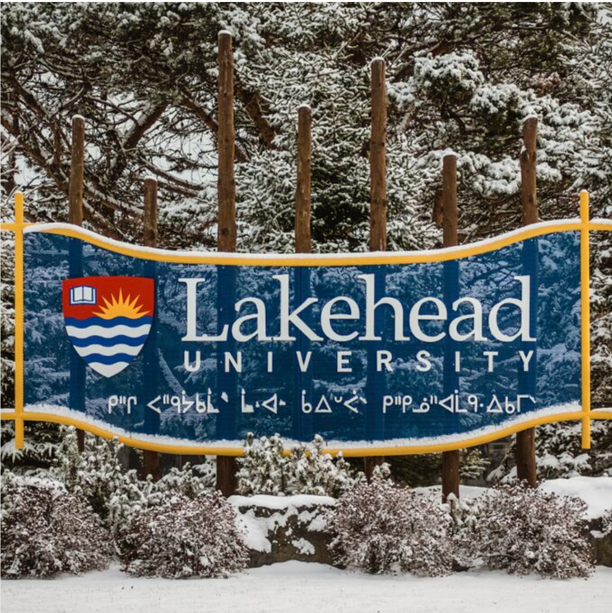 Lakehead University